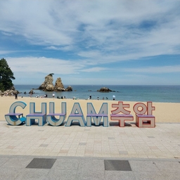 피드에 업로드 된 이미지