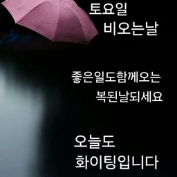 피드에 업로드 된 이미지