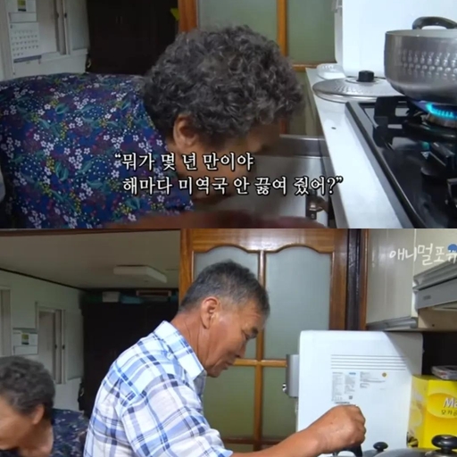 피드 이미지