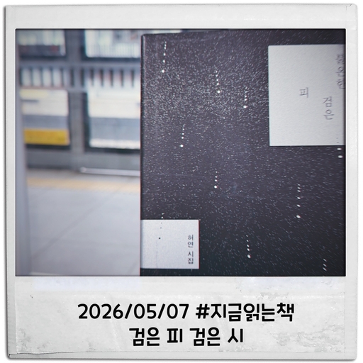 피드 이미지