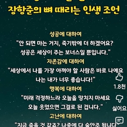 피드에 업로드 된 이미지