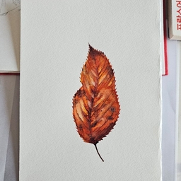 피드에 업로드 된 이미지