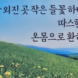 피드에 업로드 된 이미지