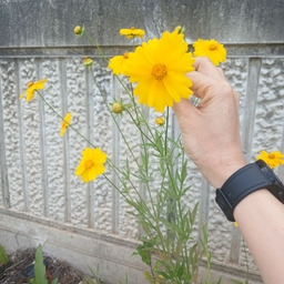 피드에 업로드 된 이미지