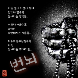 피드에 업로드 된 이미지