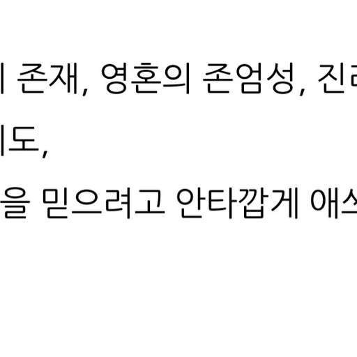 피드 이미지