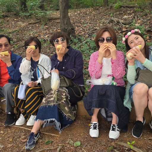 피드 이미지