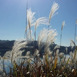 피드에 업로드 된 이미지