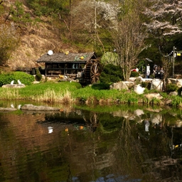 피드에 업로드 된 이미지