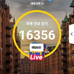 피드에 업로드 된 이미지