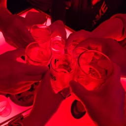 피드에 업로드 된 이미지