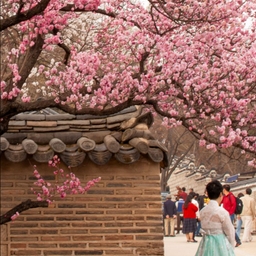 피드에 업로드 된 이미지