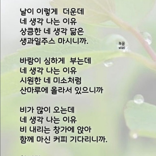 피드 이미지