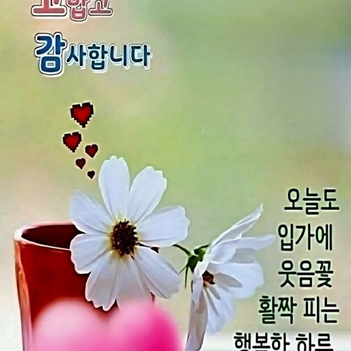 피드 이미지