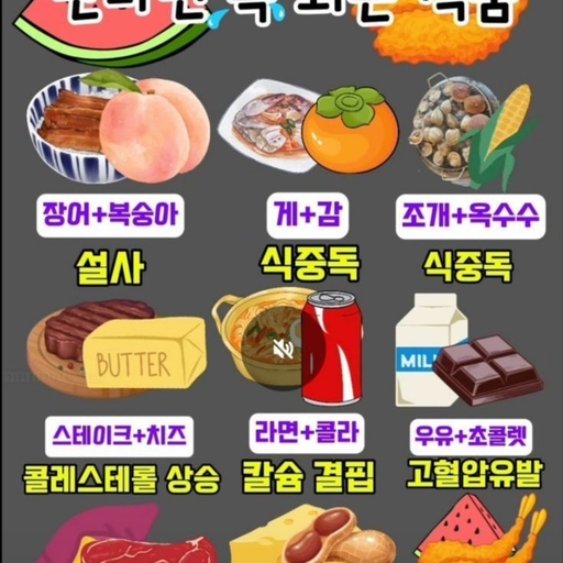 피드 이미지