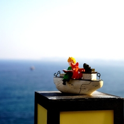 피드에 업로드 된 이미지