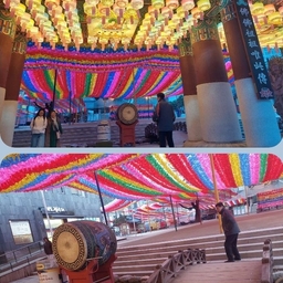 피드에 업로드 된 이미지