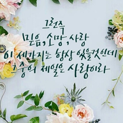 피드 이미지