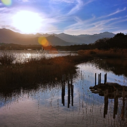 피드에 업로드 된 이미지
