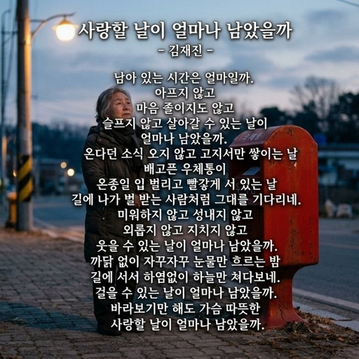 피드 이미지