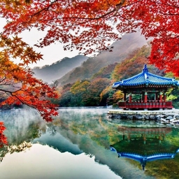 피드에 업로드 된 이미지