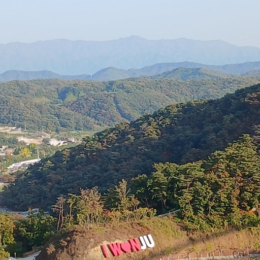 피드 이미지