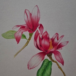 피드에 업로드 된 이미지