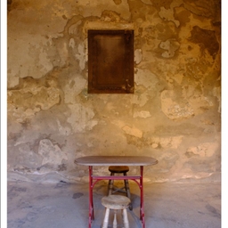 피드에 업로드 된 이미지