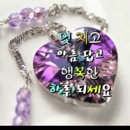 피드에 업로드 된 이미지