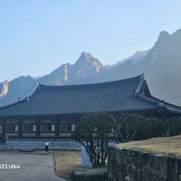 피드에 업로드 된 이미지