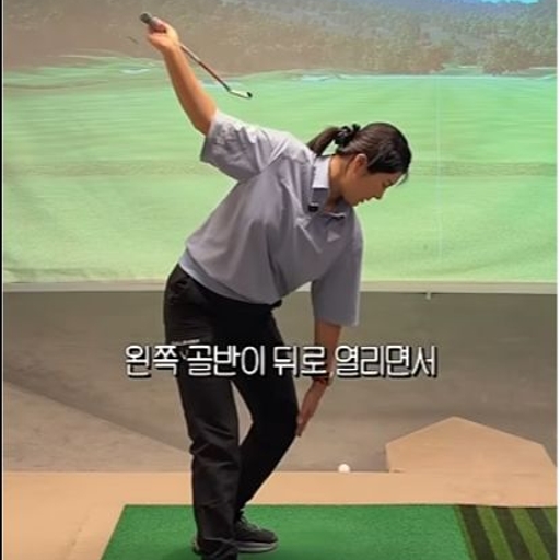 피드 이미지