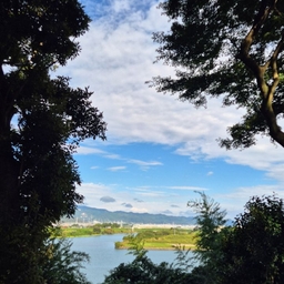 피드에 업로드 된 이미지