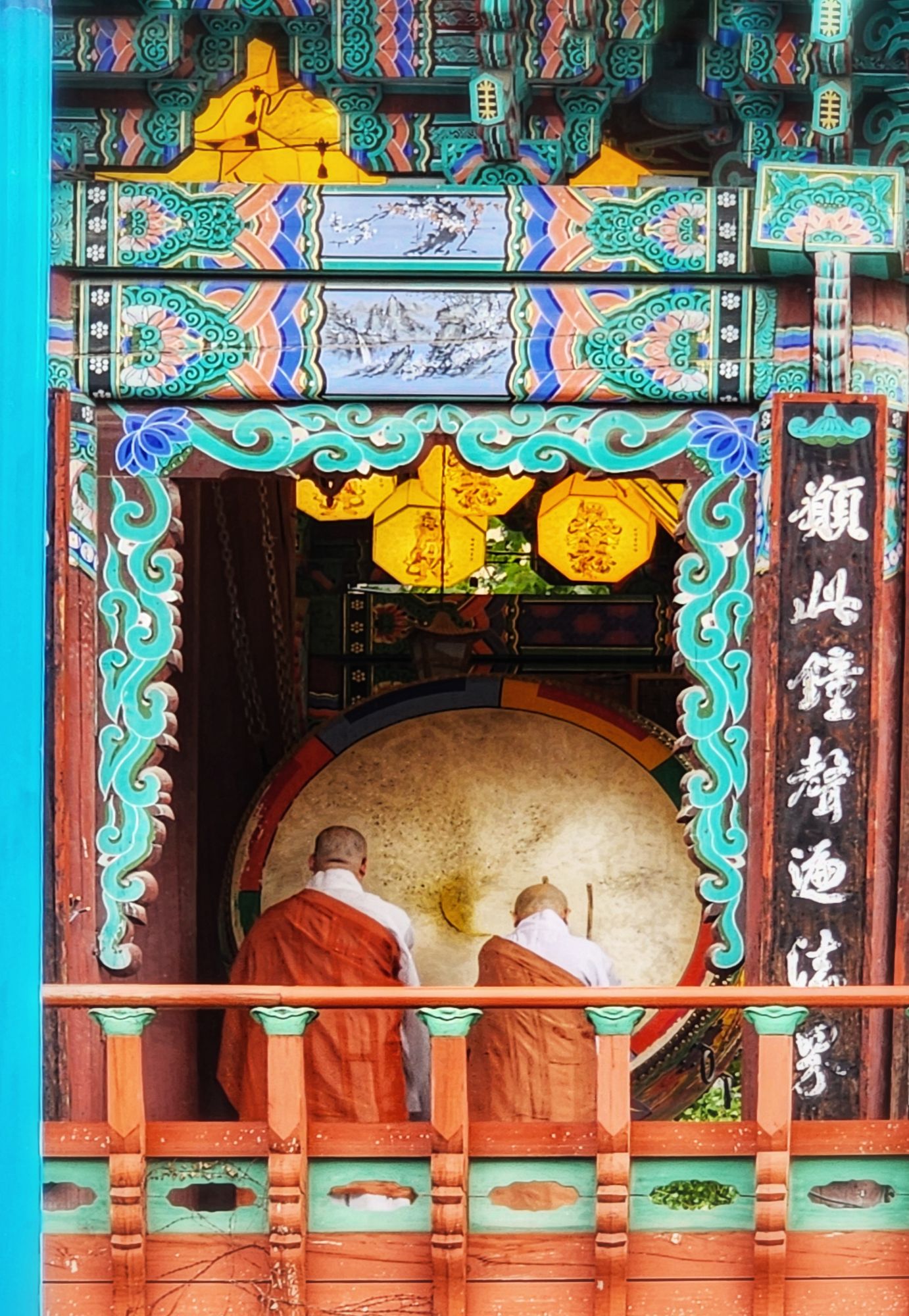 피드 이미지