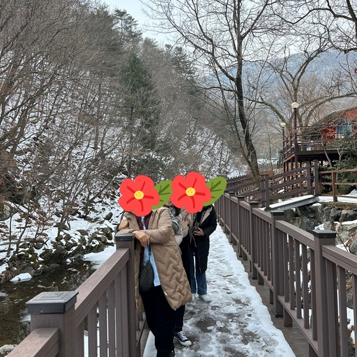 피드 이미지