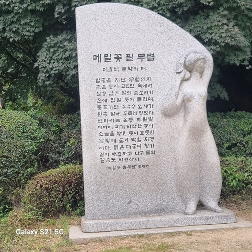 피드 이미지