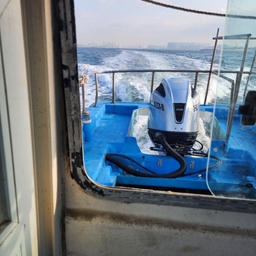 피드에 업로드 된 이미지