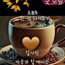 피드에 업로드 된 이미지