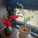 멤버 프로필