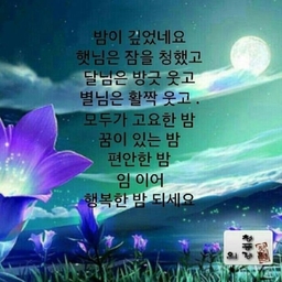 피드에 업로드 된 이미지
