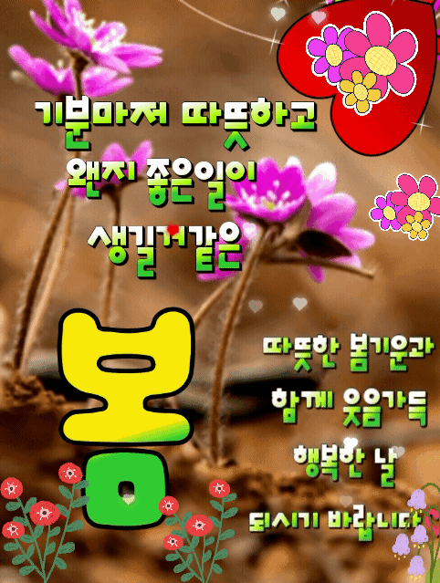 ํผ๋์ ์
๋ก๋ ๋ ์ด๋ฏธ์ง