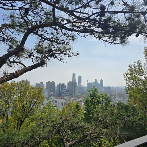 피드 이미지