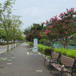 피드에 업로드 된 이미지