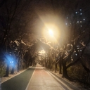 멤버 프로필