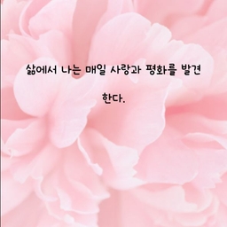 피드에 업로드 된 이미지