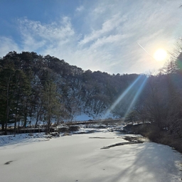 피드에 업로드 된 이미지