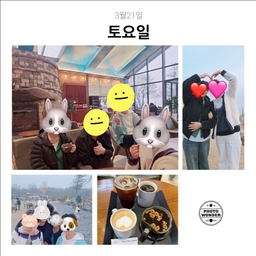 피드에 업로드 된 이미지