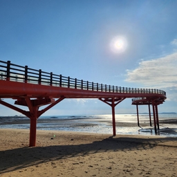 피드에 업로드 된 이미지