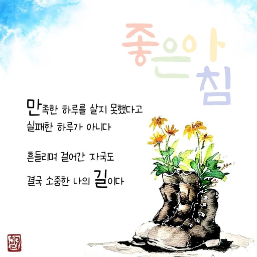 피드 이미지