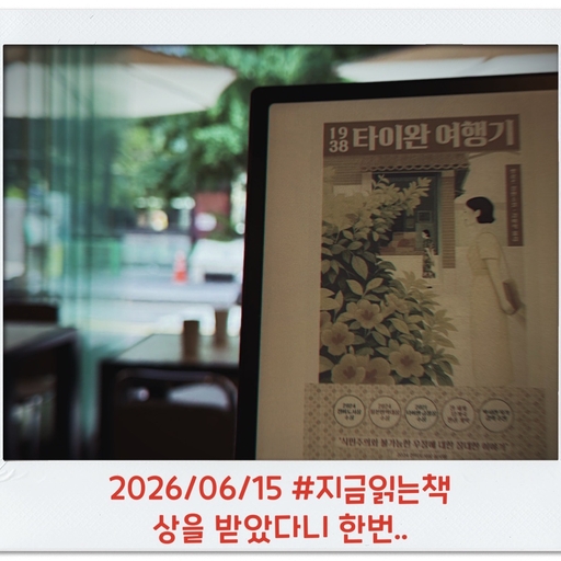 피드 이미지
