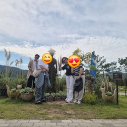 피드에 업로드 된 이미지